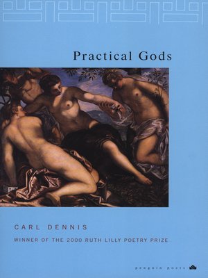 cover image of Practical Gods